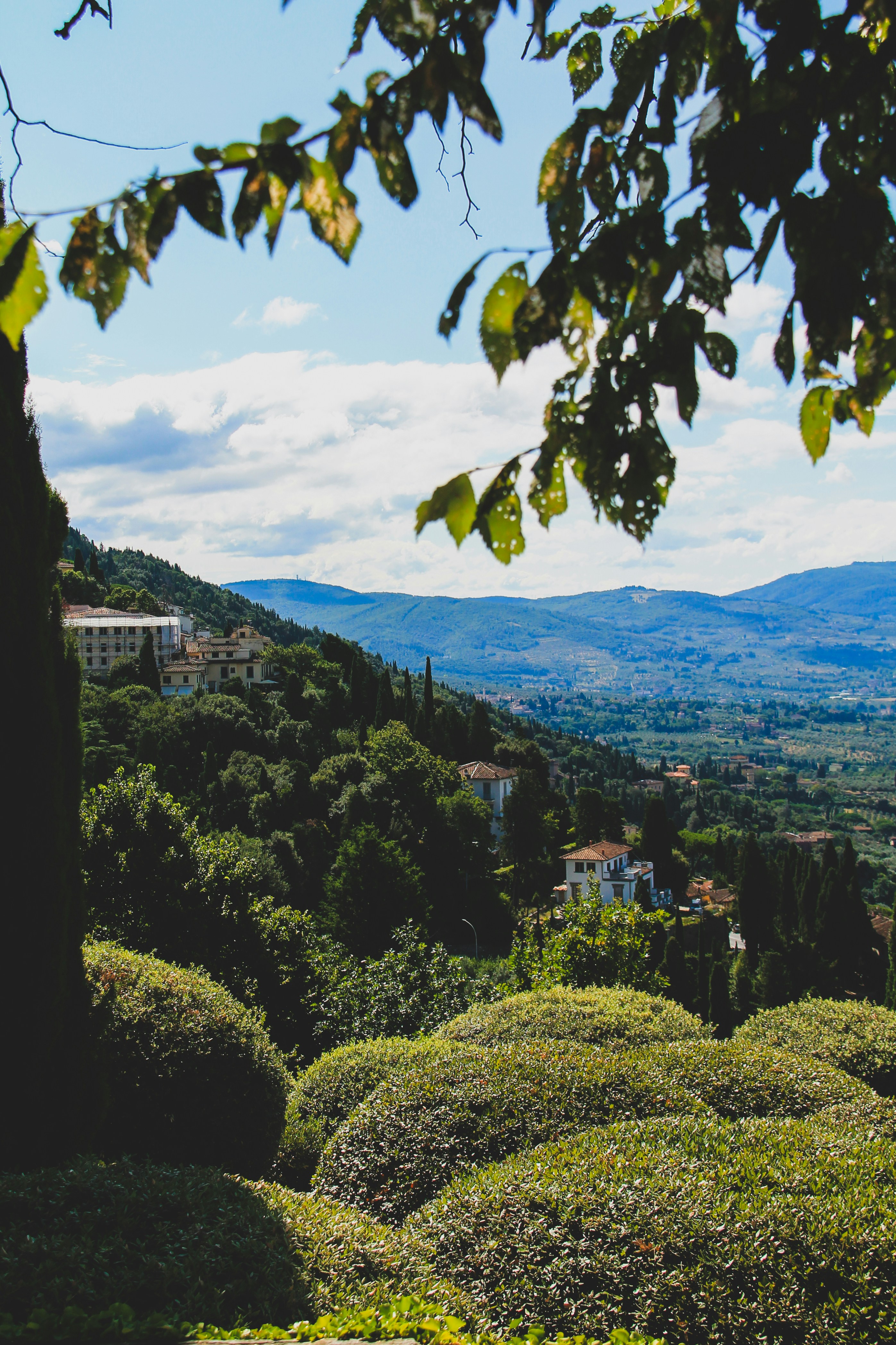 Fiesole Hillside